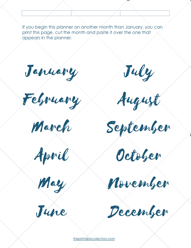 Name of the months Butterflies planner