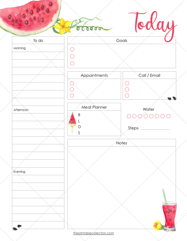 Free Printable Daily Planner Template Watermelon - The Printable Collection