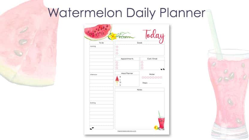 Free Daily Planner Printable Free TemplatevWatermelon Daily Planner Post - The Printable Collection