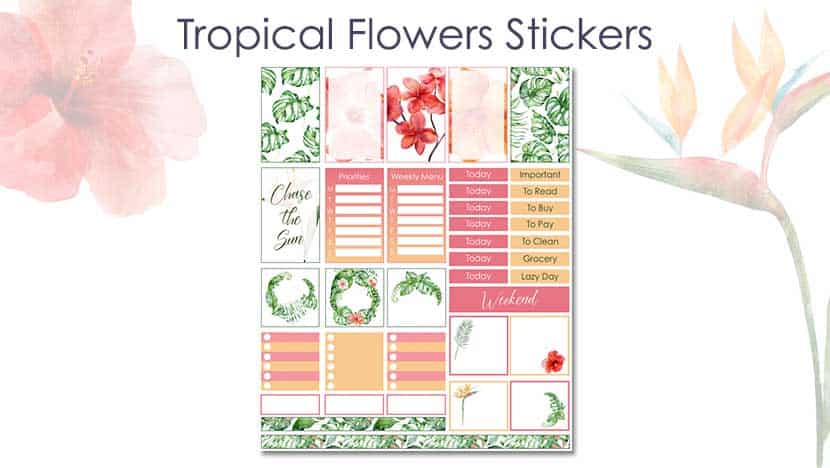 Free Printable Tropical Flowers Stickers Post - The Printable Collection