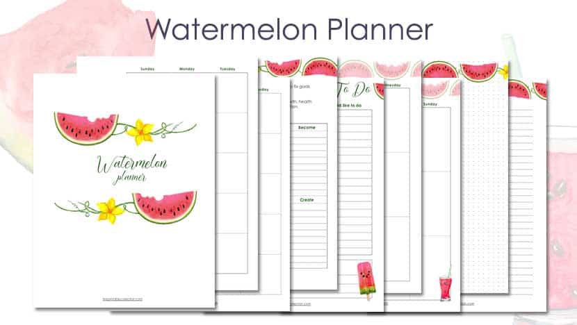 Printable Watermelon Planner Post - The Printable Collection