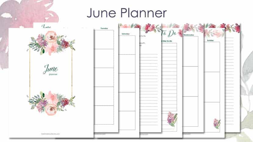 Printable June Planner Image for post - The Printable Collection